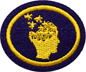 Adolescent Mental Health Response