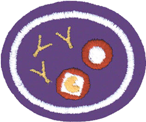 Blood and the Body's Defenses