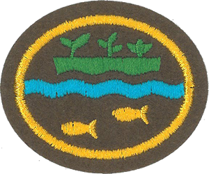 Hydroponics and Aquaponics