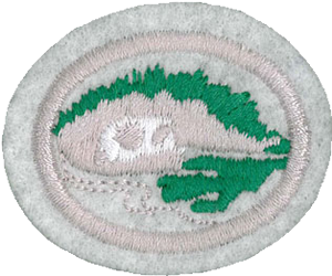 Lichens, Liverworts, and Mosses