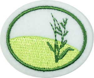 Temperate Grasslands