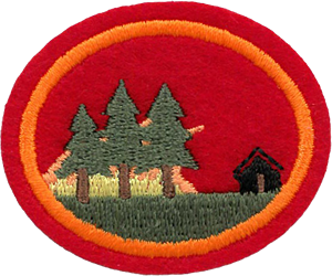 Wildfire Preparation and Prevention